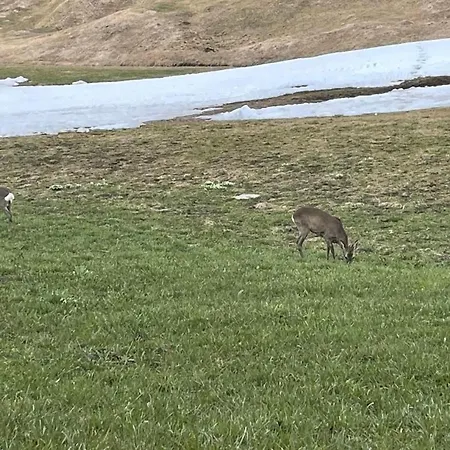 Romantisches Plaetzchen In Der Сasa de vacaciones Grindelwald